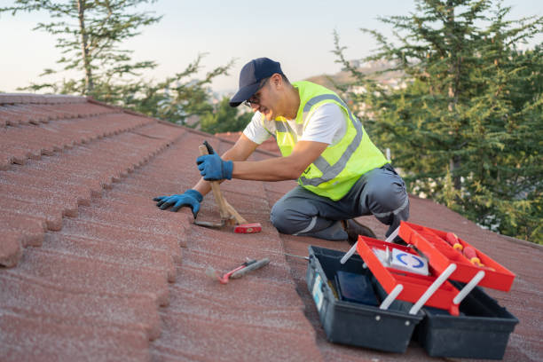 Best Roof Gutter Cleaning  in New Franklin, OH