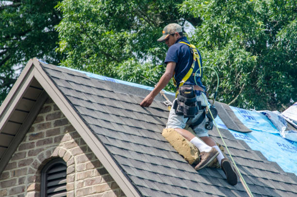 Best Gutter Installation and Roofing  in New Franklin, OH
